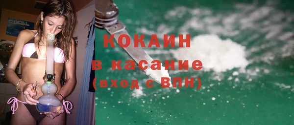 сатива Алзамай