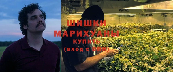 сатива Алзамай