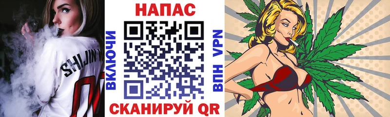 Бошки марихуана SATIVA & INDICA  купить наркотик  Салехард 